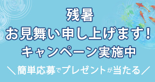 残暑お見舞い申し上げます！キャンペーン