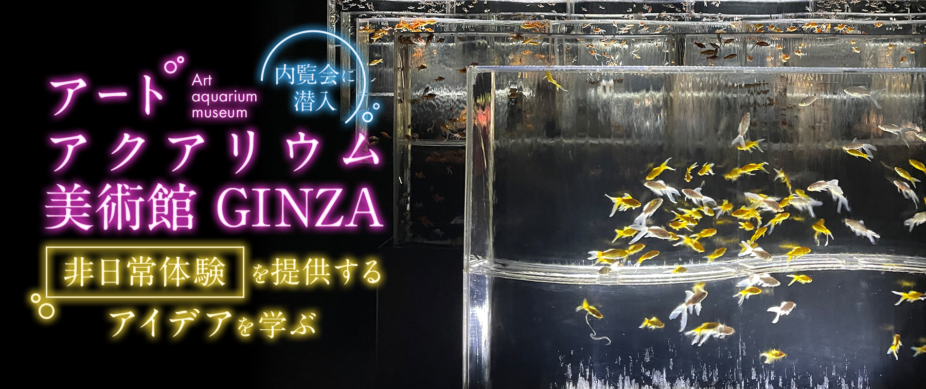 アートアクアリウム美術館 GINZA 内覧会に潜入｜ファンを作る顧客体験のアイデアを学ぶ