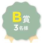 B賞 3名様