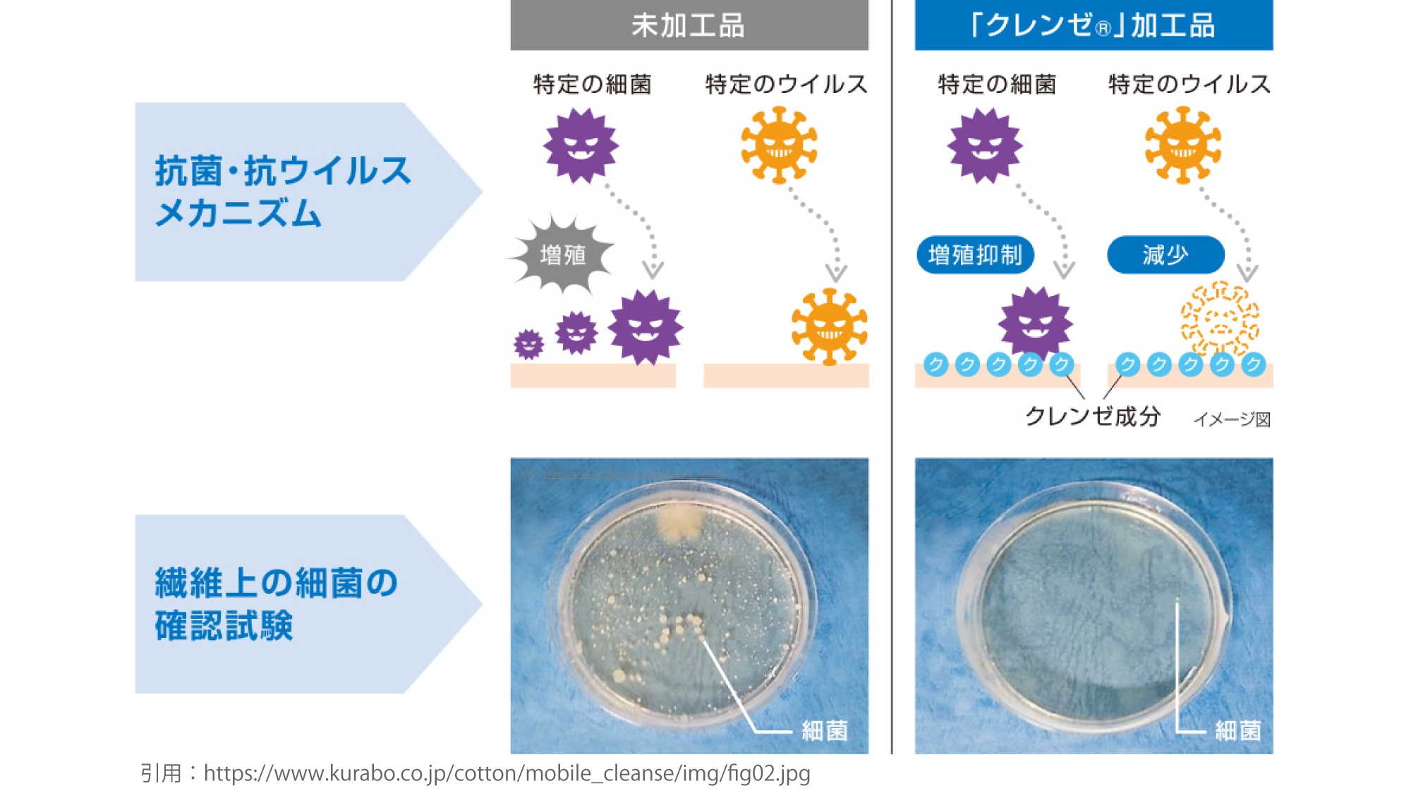 抗菌・抗ウイルス機能繊維加工技術『クレンゼ®』とは？