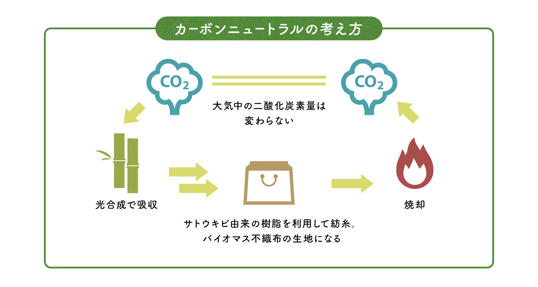 バイオマス不織布　バイオマスとは？カーボンニュートラルとは？