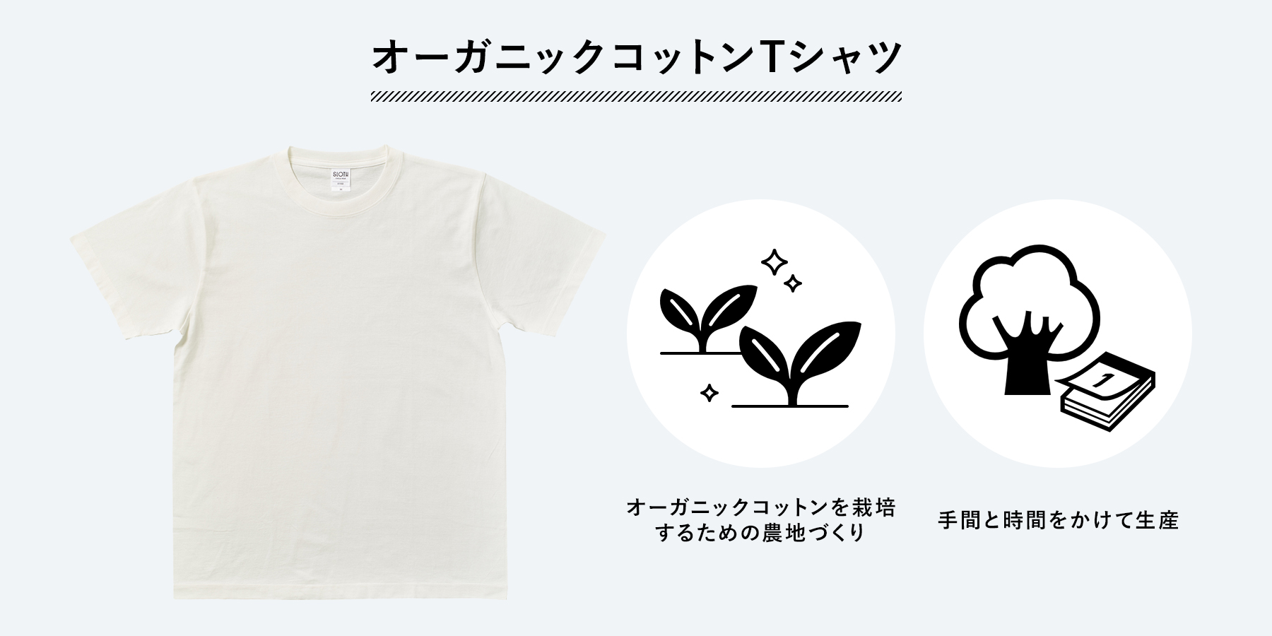 オーガニックコットン Tシャツ