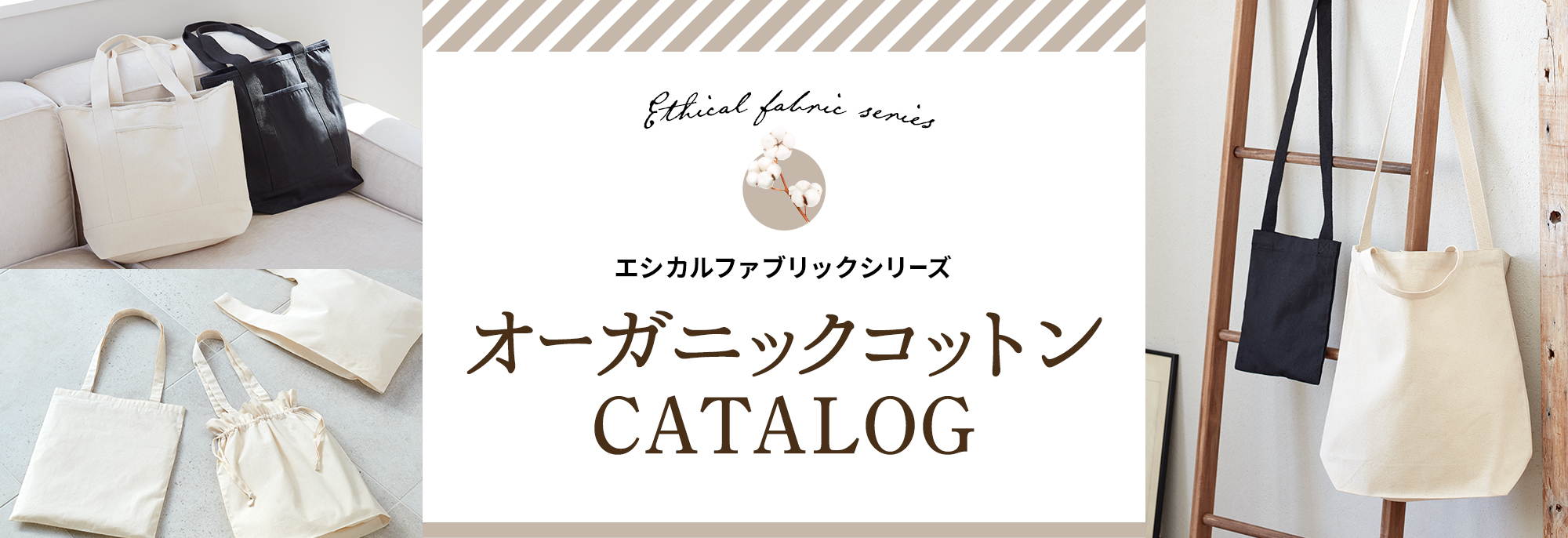 オーガニックコットン｜お役立ち資料